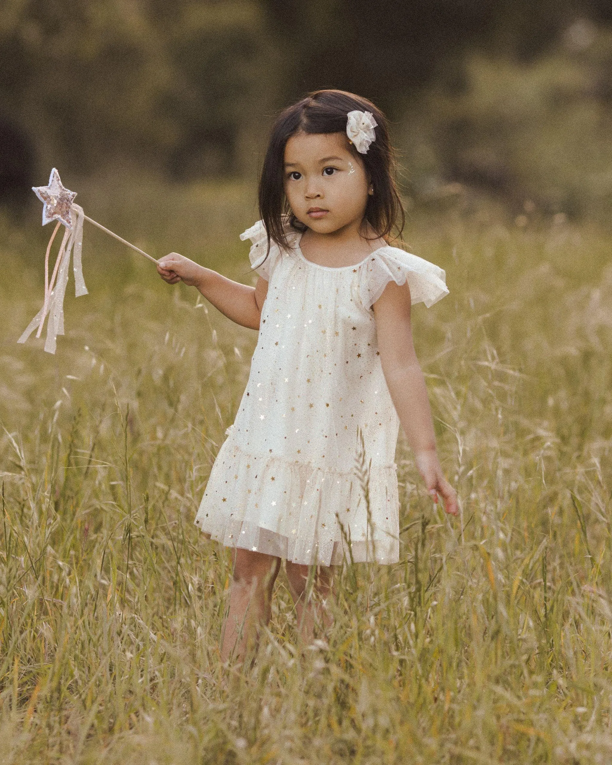 Baby Girls Dresses | Edie Dress - Champagne Stars | Noralee