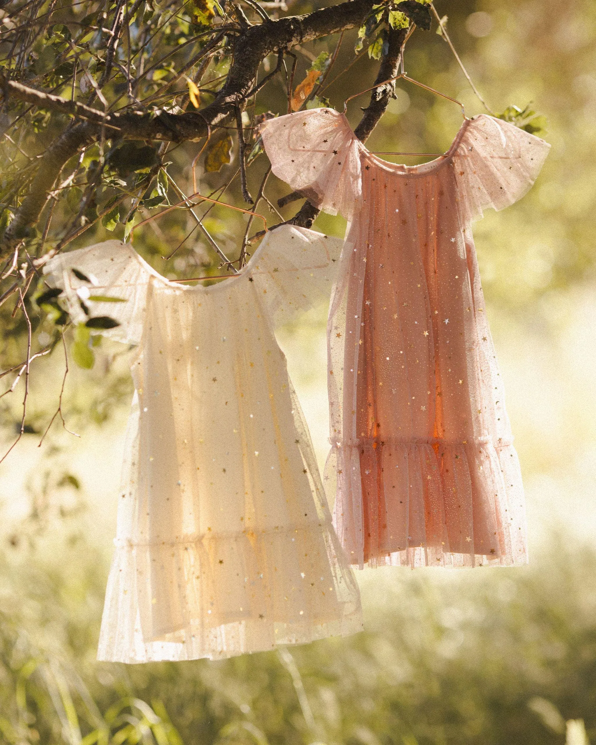 Baby Girls Dresses | Edie Dress - Champagne Stars | Noralee