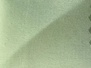 Light Green Plain 60 Grams Georgette Fabric