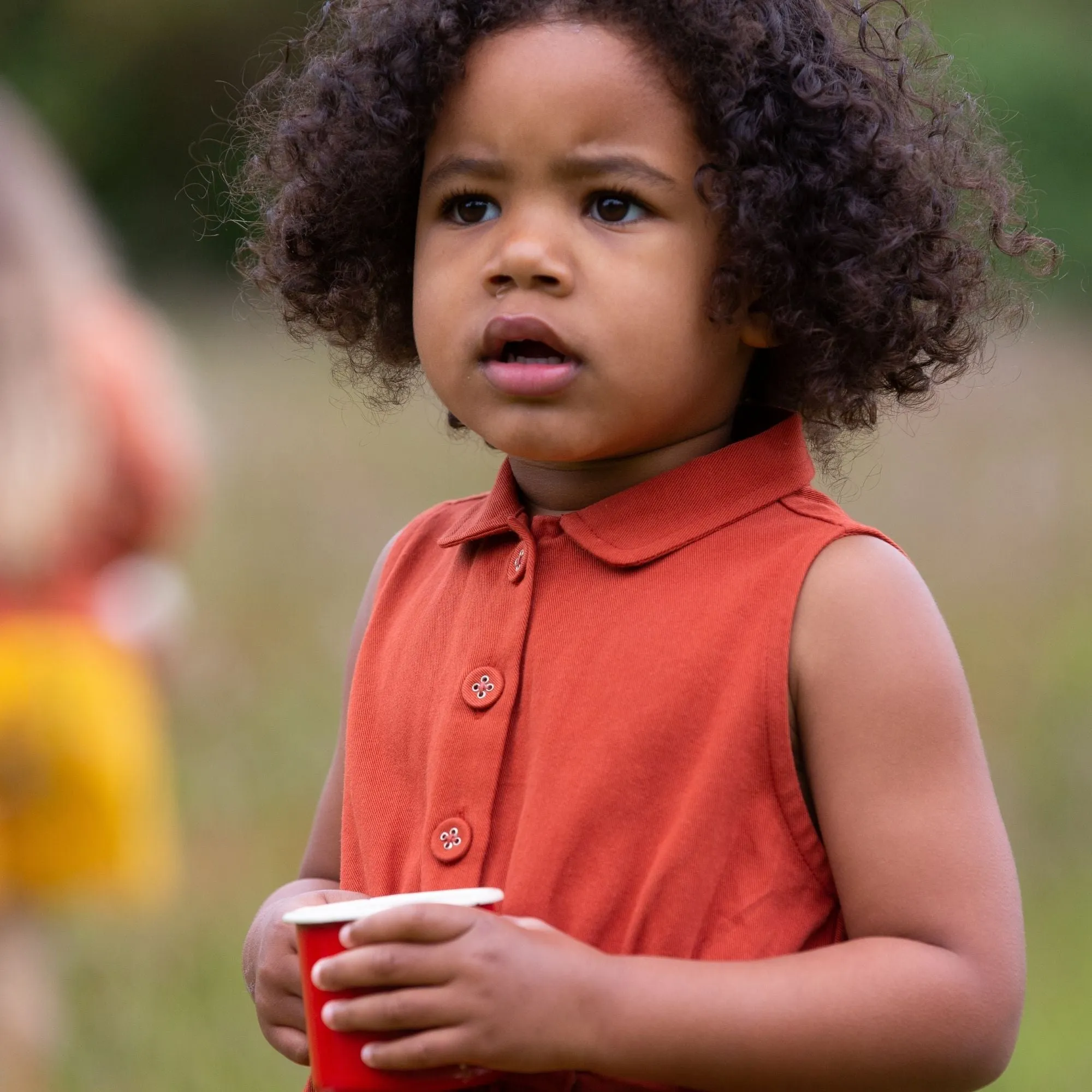 Walnut Pinafore Button Dress